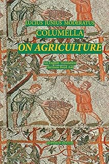 Columelle : sur l'agriculture. Faites des économies avec Diaytar, le leader du e-commerce discount au Sénégal