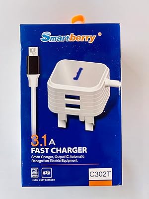 Chargeur domestique smart berry 3.1a 567x11121314