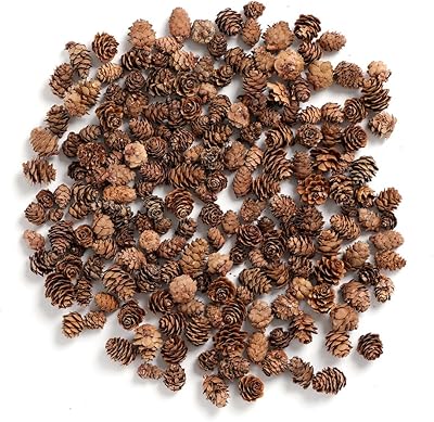 Behr crafts mini pommes de pin, 8 oz, paquet de 110 (naturel)
