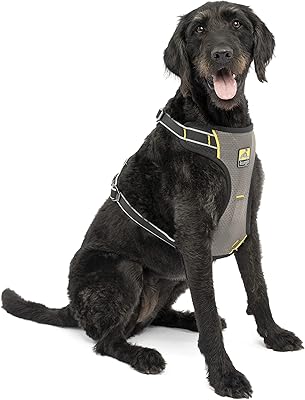 Harnais de voiture pour chien korgo impact, testé en cas de collision, intégré