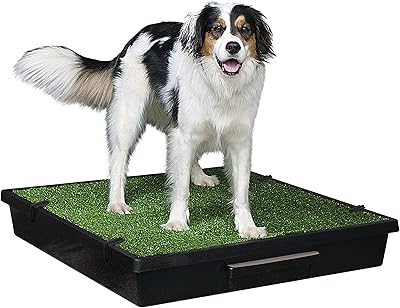 Pot portable petsafe pour animaux de compagnie, doublures de rechange pour pipi, grande
