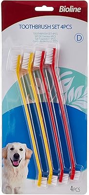 Ensemble de 4 brosses à dents bioline