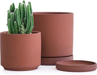 Ensemble de petits pots de fleurs, pot de fleurs en terre cuite non