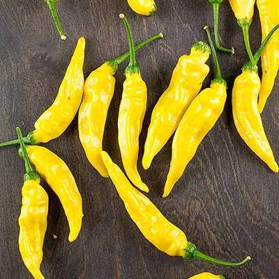 100pcs graines de légumes de piment jaune piment semi-résistant annuel potager plante graines de poivre frais #. Diaytar : L'excellence du service, la douceur des prix