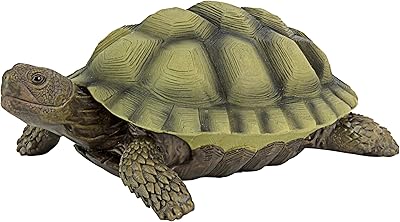 Design toscano gilbert la figurine de jardin tortue-boîte, 9 pouces, qm1887611, couleur