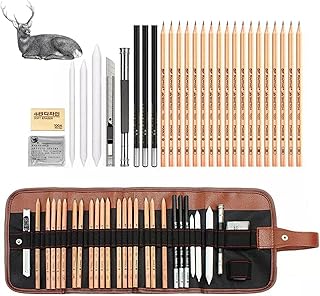 Ensemble de crayons à dessin ensemble dessin et croquis complet 29 pièces comprenant