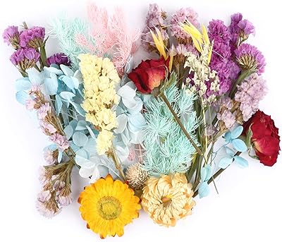 Pack de vraies fleurs séchées batesin pour la fabrication de bijoux en résine