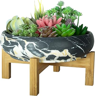 Pot de plantes succulentes, grand pot de plantes succulentes avec support, pot