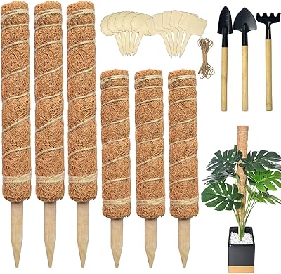 Paquet de 6 poteaux en mousse de maïs pour plantes grimpantes de 15"