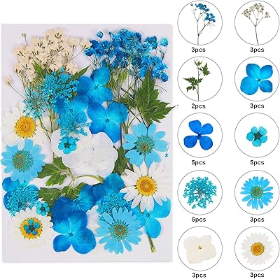 Fleurs pressées séchées, fleurs séchées naturelles, vraies fleurs pressées, fleurs sèches colorées