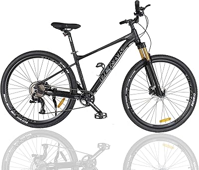 Libérez l'aventurier qui sommeille en vous avec le vélo pour adulte dirac formula