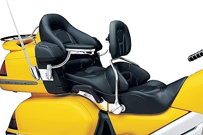 Accessoire moto ken coréen 8990 : dossier rembourré réglable avec sac de rangement