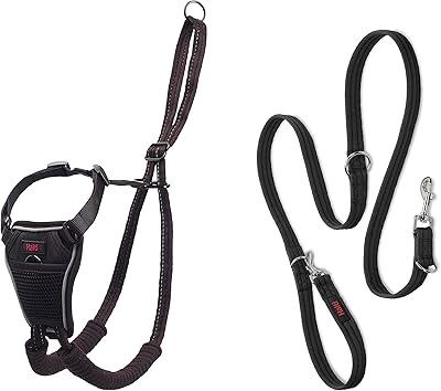 Ensemble de harnais de poitrine anti-traction halti avec laisse de dressage arrêtez
