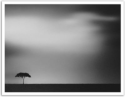 Jp london pos1x702499 jpl et piet flour présentent the plains lone tree noir