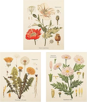 Tapisserie de salon lorni florale, plantes sauvages et papillons, petite chambre, 3 pièces