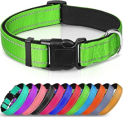 Collier réfléchissant pour chien joytail collier rembourré en néoprène respirant réglable pour chiens