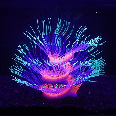Corail anémone de mer bleu et vert gel de silice doux se déplace