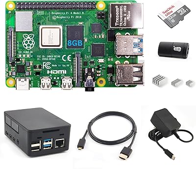 Kit de démarrage viva raspberry pi 4 modèle b (8 go)