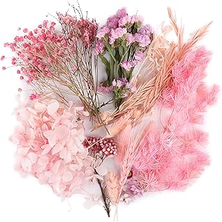 Paquet de 1 paquet de vraies fleurs séchées, plantes séchées mélangées pour la fabrication
