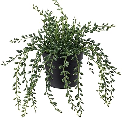 Ikea 303.953.40 plante artificielle en pot vejka cordon de perles pour intérieur