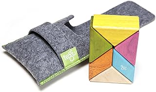 Ensemble de blocs de poche magnétiques en bois tego multicolore 324935