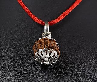 Shivaratna 3-4-5-6-7 mukhi nepali rudraksha en argent pur certifié en laboratoire