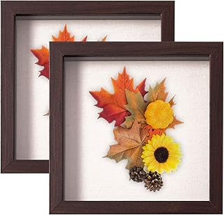 Lot de 2 boîtes de présentation/boîte d'ombre en bois avec dos en lin