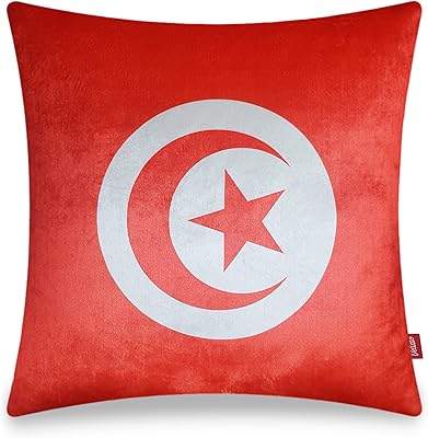 Housse de coussin filato en velours home decor tunisie, coussin décoratif en velours