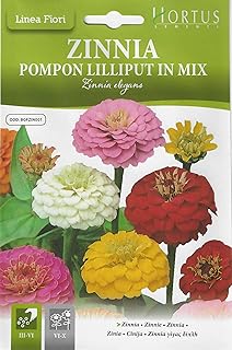 Graines hortus zinnia mix (zinnia pompon lilliput n mix) graines de haute qualité