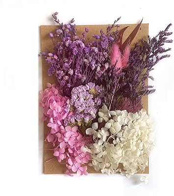 Véritables feuilles et herbes végétales séchées pour la fabrication de bijoux, les arts et l'artisanat, les décorations florales, les bougies, les bijoux artisanaux, les décorations d'ongles, la fabrication de savon (violet). Diaytar : La révolution discount est en marche