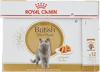 Sachets de nourriture humide royal canin fbn british shorthair, paquet de 12 x