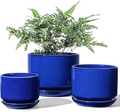 Pots de plantes en céramique li taosi, 4,3 + 5,3 + 6,8 pouces