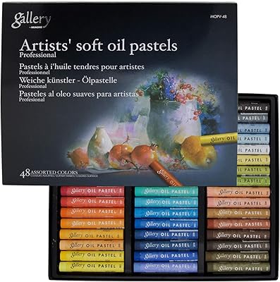Ensemble de 48 pastels à l'huile doux mungyo gallery - couleurs assorties