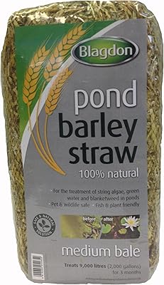 Bond 1054652 balle de paille d'orge blagdon, nettoie les algues, l'eau verte et l'herbe de couverture, naturelle, moyenne, pour étangs jusqu'à 9 000 litres. Faites des économies avec Diaytar, le leader du e-commerce discount au Sénégal