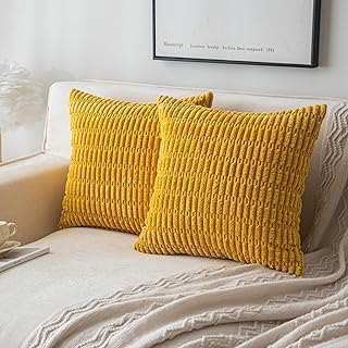 Housses de coussin décoratives chitoor pour canapé-lit, salon, housses de coussin rayées