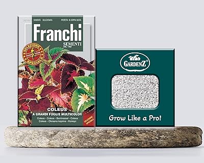 Graines de coleus | modèle d3141 | marque franchi | origine italie +