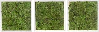 Ensemble de 3 cadres en bois de mousse sculpté naturel greenroad - vert