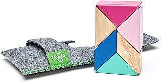 Ensemble de blocs magnétiques en bois tego prism pocket multicolore