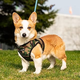 Harnais à enfiler en maille souple mr. peanuts pour petits chiens et chats