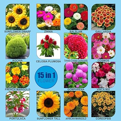 Ensemble de graines de fleurs de la série flower garden, 15 variétés