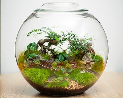 Terrarium de fleurs forestry life en bouteille bio auto-durable sans entretien