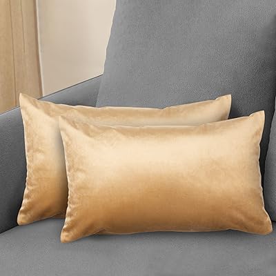 Lot de 2 housses de coussin confortables en velours, 30 x 50 cm