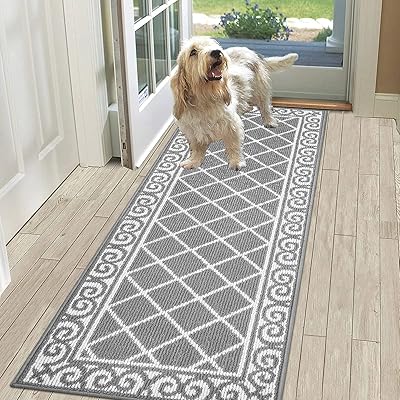 Paillasson intérieur hanche 20" x 59", paillasson intérieur basse hauteur pour entrée, tapis