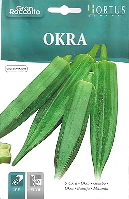 Graines de gombo (okra gumbo) de haute qualité (fabriquées en italie) de hortus