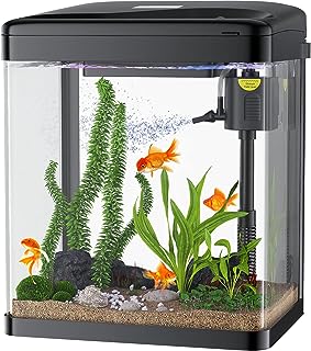 Aquarium bondon betta aquarium en verre de 2 gallons 3 en 1 avec filtre et lumière. Diaytar Sénégal : Le plaisir d'acheter sans se priver