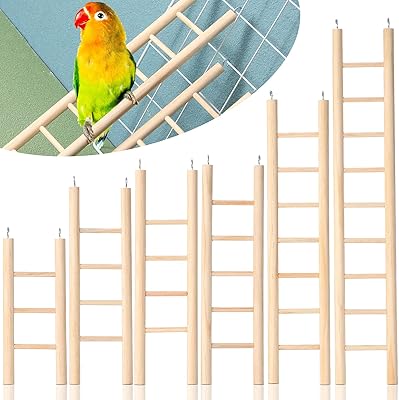 6 pièces d'échelle en bois pour oiseaux en 6 tailles, échelle suspendue