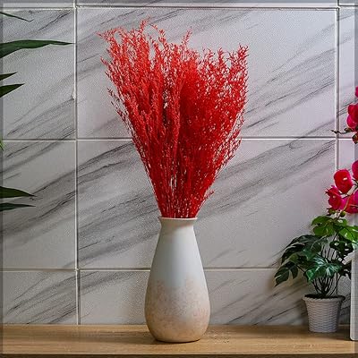Yatay 2 pièces fleurs de lavande séchées naturelles pour la décoration de vacances fleurs séchées violettes pour la décoration de la maison fête d'anniversaire bouquet de fleurs séchées remplissage de vase de table (rouge). Diaytar : Qualité professionnelle, prix grand public