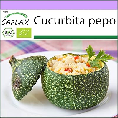 Biologique - courgette - tondo di nizza - 5 graines - cucurbita pepo