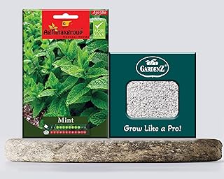 Graines de menthe ag0380 à haut rendement + jardinière en perlite (5l) bay