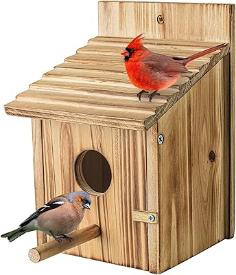 Maison à oiseaux en bois, maison à oiseaux extérieure en bois avec poteau